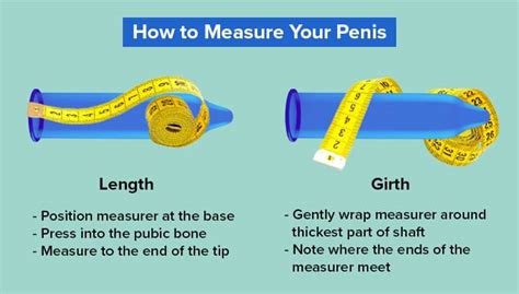 dick oic|Shown Actual Size: A Penis Shape & Size Lowdown